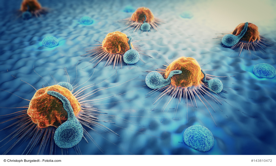 3D Illustration von Krebszellen und Lymphocyten